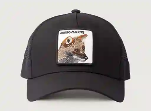 Jockey Wild Lama Zorro Chilote Algodón Orgánico Negro