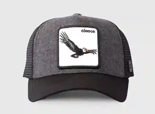 Jockey Condor Wool Negro