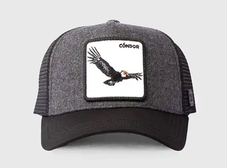 Jockey Condor Wool Negro