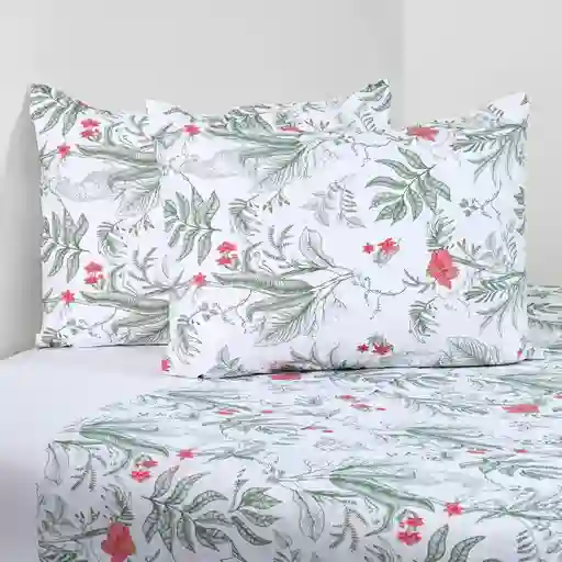 Sabana 2p 200h Mangoa