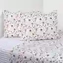 Sabana 2p 200h Flutter