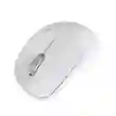 Kx Mouse Inal Conexion Bt And 2.4ghz Wt