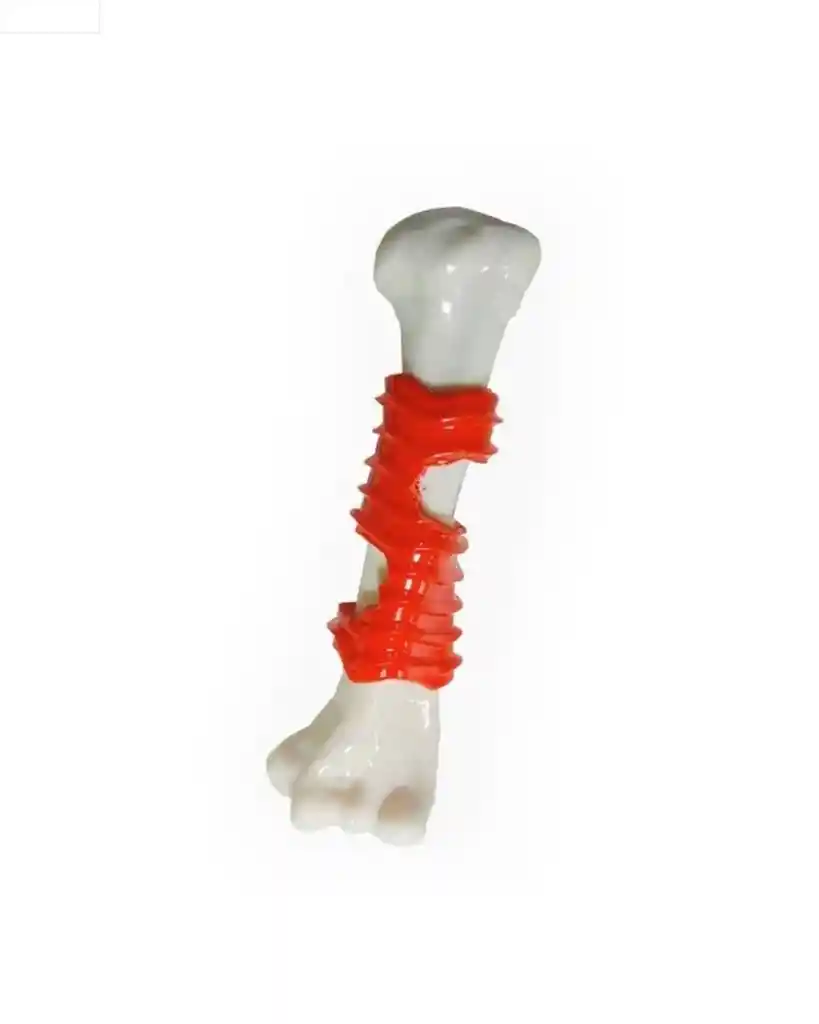 Warrior - Juguete Hueso Pequeño Para Perros (ps9022b)