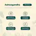 Pack X2 Ashwagandha 120 Capsulas Karun Life