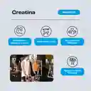 Pack Doble Creatina Monohidratada 300 Gomitas Karun Life