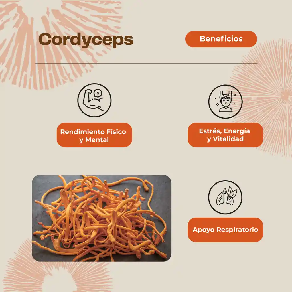Pack Energía Y Rendimiento Cordyceps + Creatina Karun Life