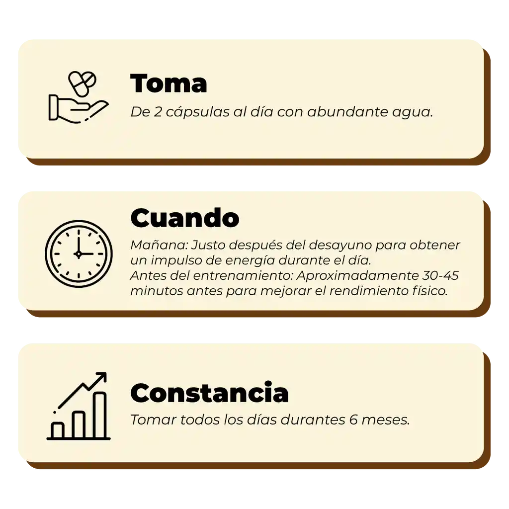 Pack Energía Y Rendimiento Cordyceps + Creatina Karun Life