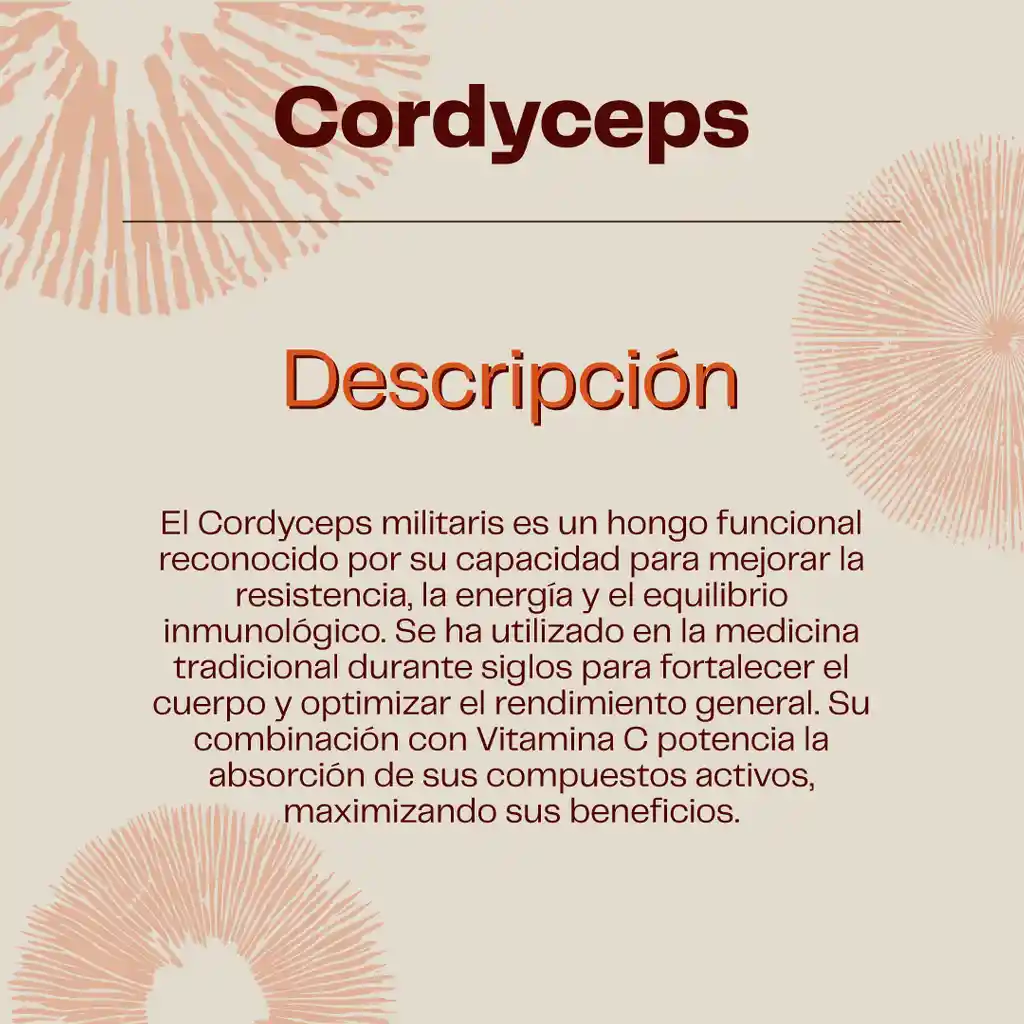 Pack Energía Y Rendimiento Cordyceps + Creatina Karun Life