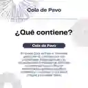 Pack 180 Capsulas: Melena De Leon - Reishi - Cola De Pavo