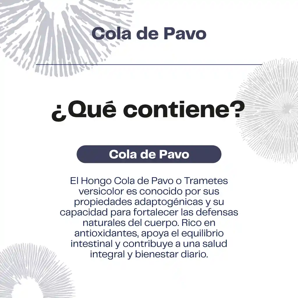 Pack 180 Capsulas: Melena De Leon - Reishi - Cola De Pavo