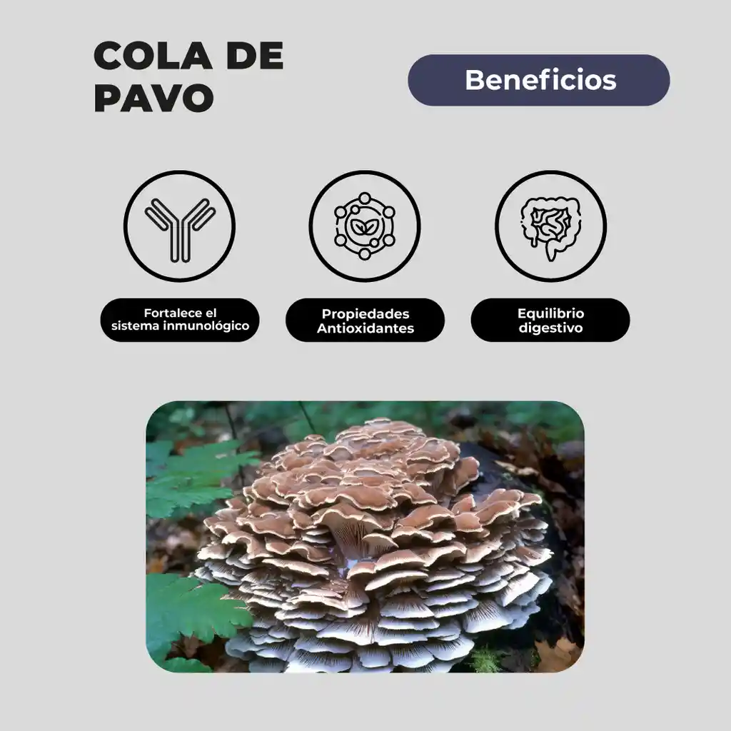 Pack 180 Capsulas: Melena De Leon - Reishi - Cola De Pavo