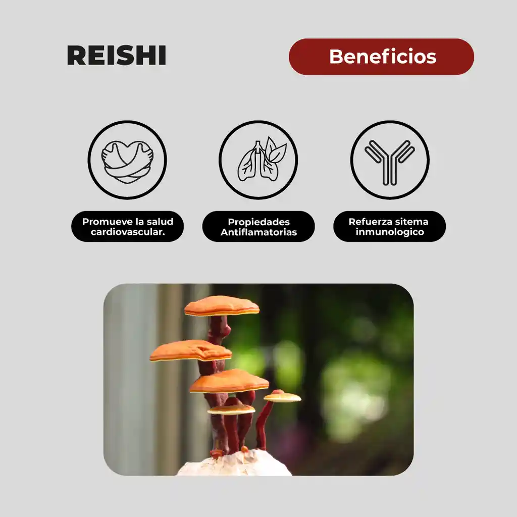 Pack 180 Capsulas: Melena De Leon - Reishi - Cola De Pavo