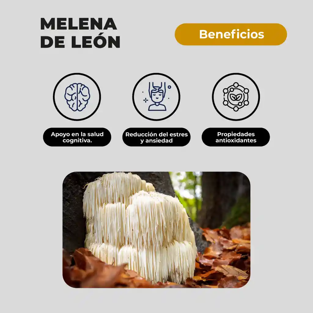 Pack 180 Capsulas: Melena De Leon - Reishi - Cola De Pavo