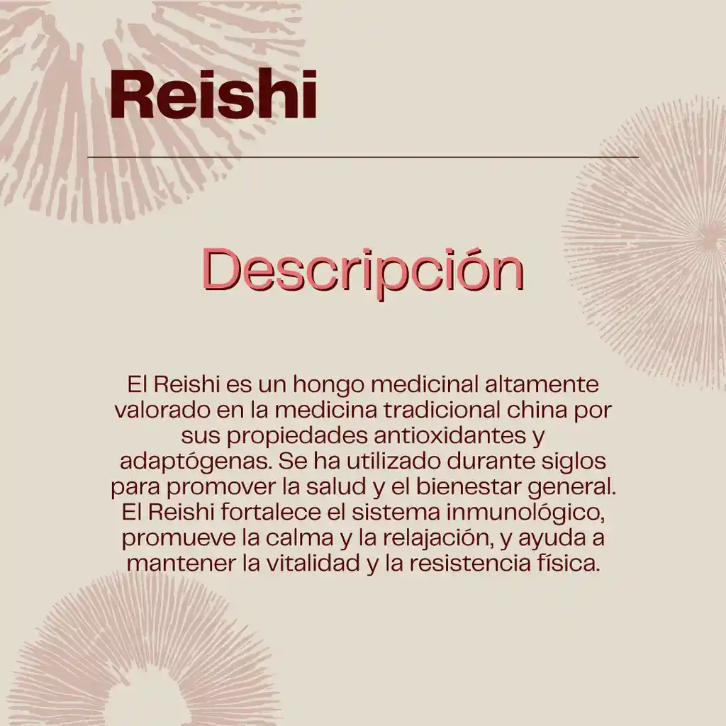 Melena De León + Reishi Hongos Concentrado 30ml Karun Life