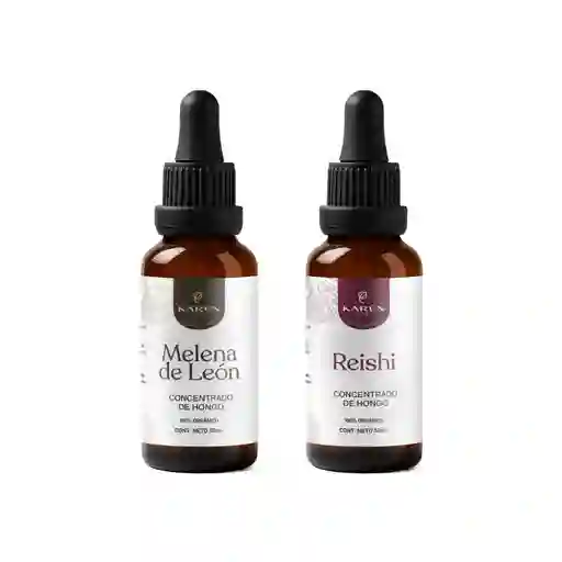 Melena De León + Reishi Hongos Concentrado 30ml Karun Life