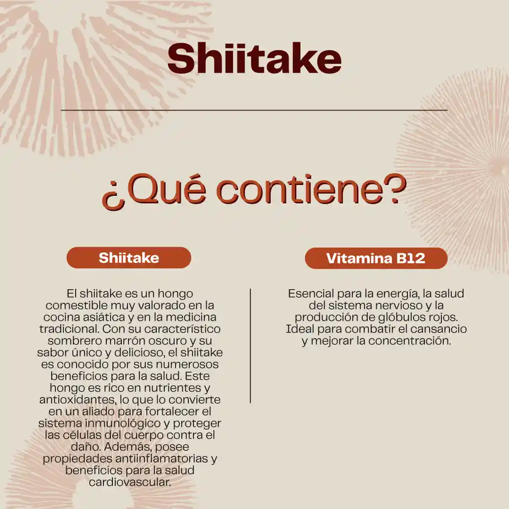 Shiitake Hongo Gomitas 60 Unidades