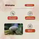 Shiitake Hongo Gomitas 60 Unidades