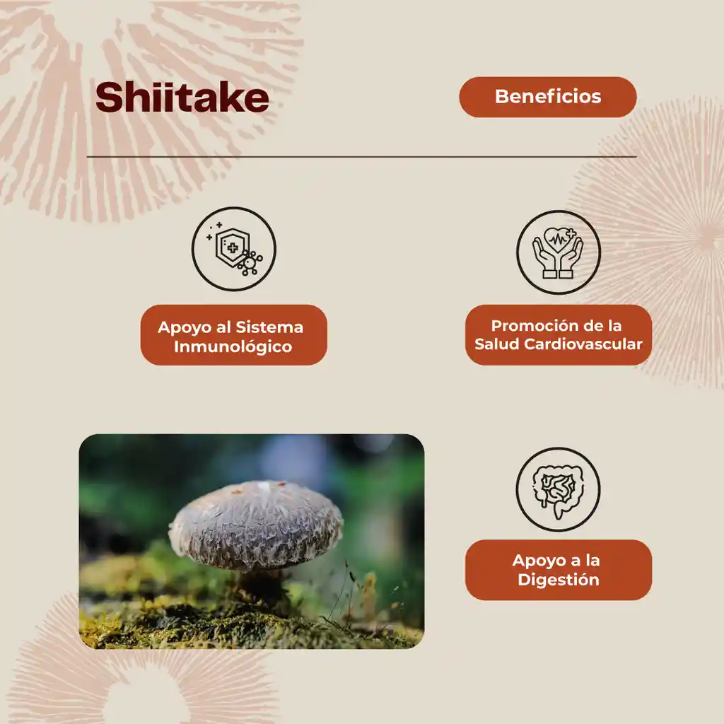 Shiitake Hongo Gomitas 60 Unidades