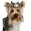 Colita Para El Pelo De Felpa Kuromi