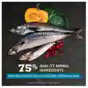 Acana Wild Atlantic Cat