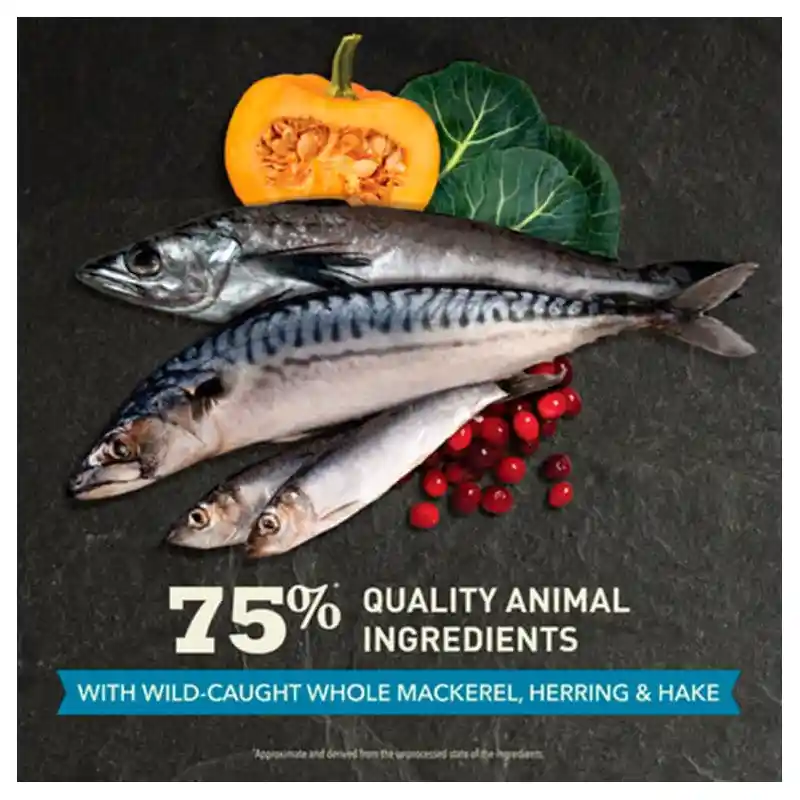 Acana Wild Atlantic Cat