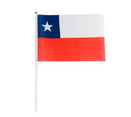 Bandera Chilena De Género 30x45 Cms Tamaño L