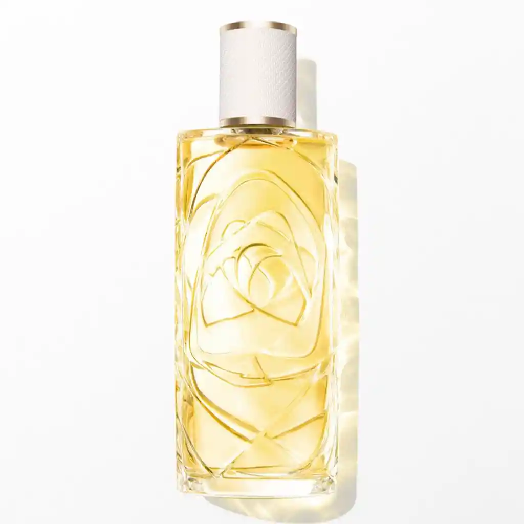 Lc Odl O Zenith Edt V100ml