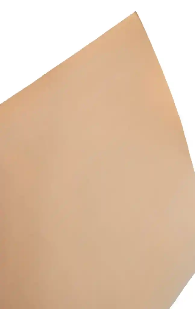 Cartulina Carton Pintado Forrado Piel54x77cm 235grs