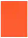 Cartulina Carton Pintado Forrado Naranja 54x77cm 235grs Hand
