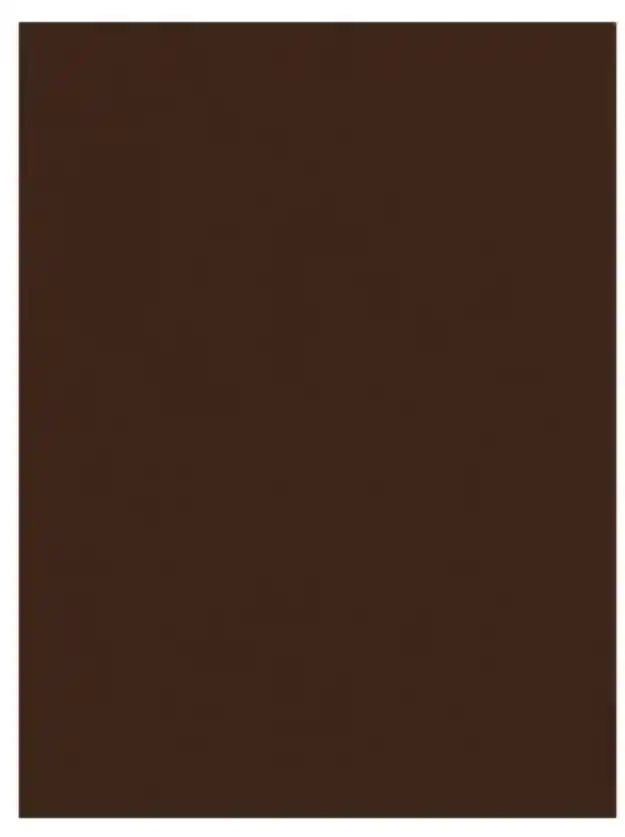 Cartulina Carton Pintado Forrado Marron Oscuro 54x77cm 235grs