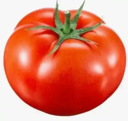 Tomate