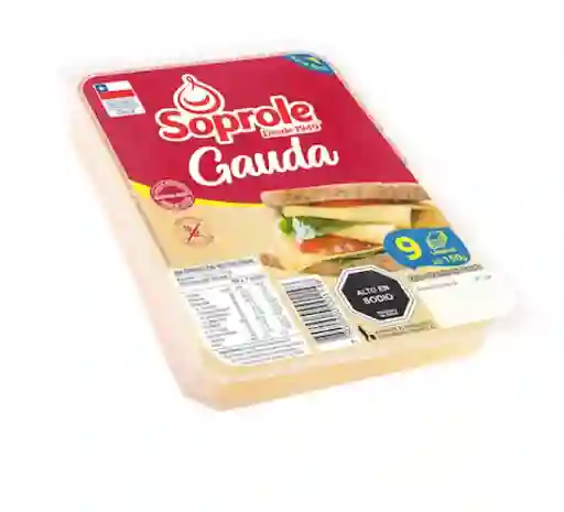Queso Gauda Soprole 150 G