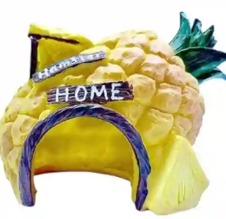Accesorio Acuario De Piña