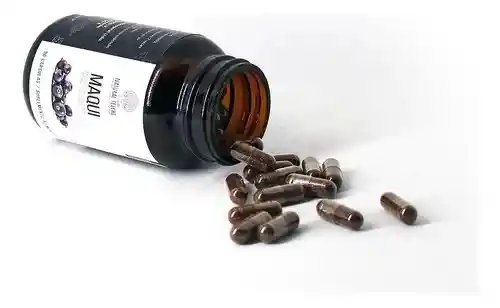 Maqui X 90 Capsulas Natural Telchi