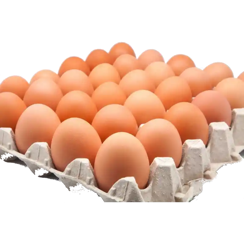 Huevos De Color Extra