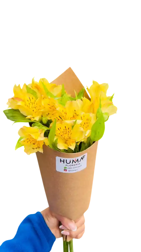 3 Alstroemerias Amarillas