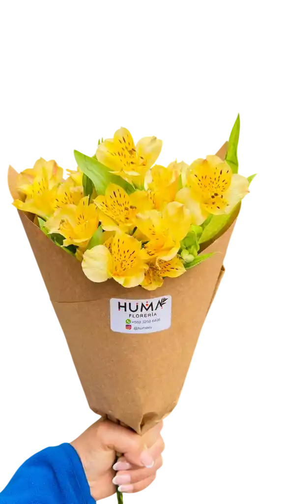5 Alstroemerias Amarillas