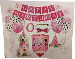 Leon Pet - Kit De Cumpleaños Rosado Para Perros (13189)