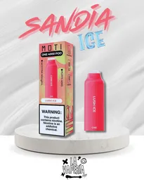 Vaper Sandía Ice 4.000 Puffs - Recargable