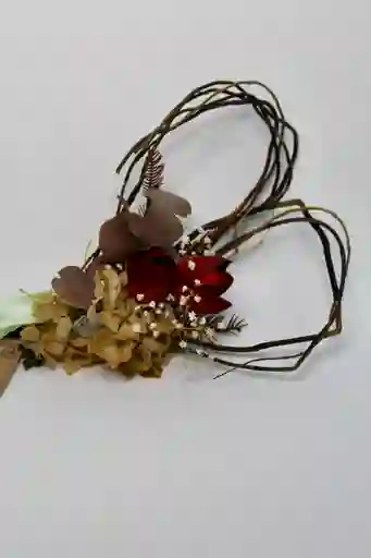 Corazones De Sauce Con Tulipán