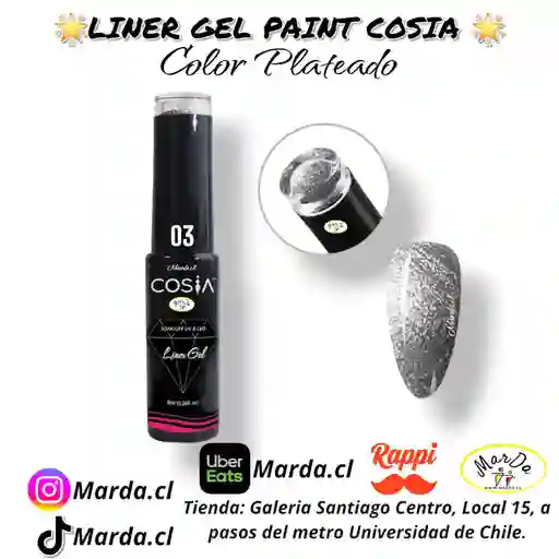 Liner Gel Paint Cosia Plateado