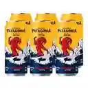 Patagonia Red Lager 470 X 6