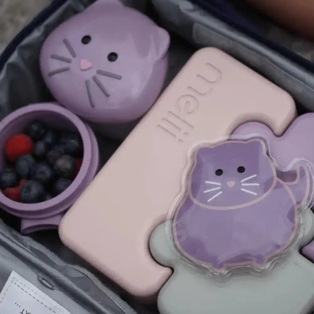 Pack De 2 Ice Pack Melii