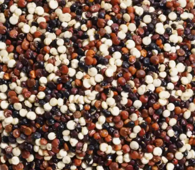 Quinoa Tricolor [220 Grs]