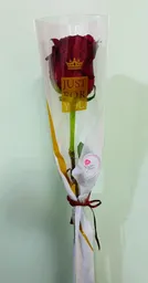 Rosa Roja Ecuatoriana