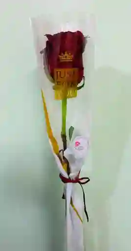 Rosa Roja Ecuatoriana