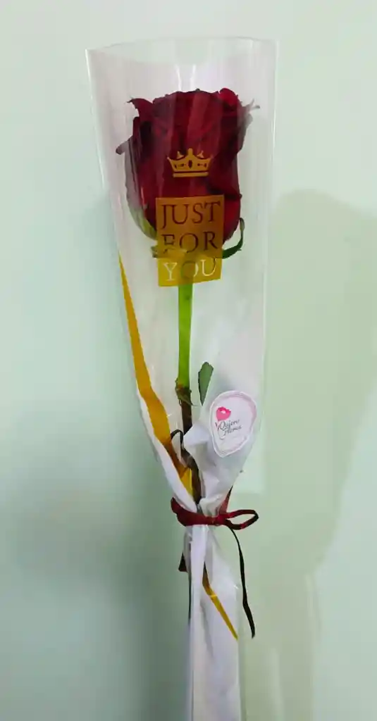 Rosa Roja Ecuatoriana