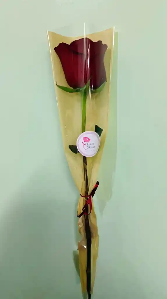 Rosa Roja Ecuatoriana