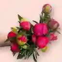 Ramo Peonias