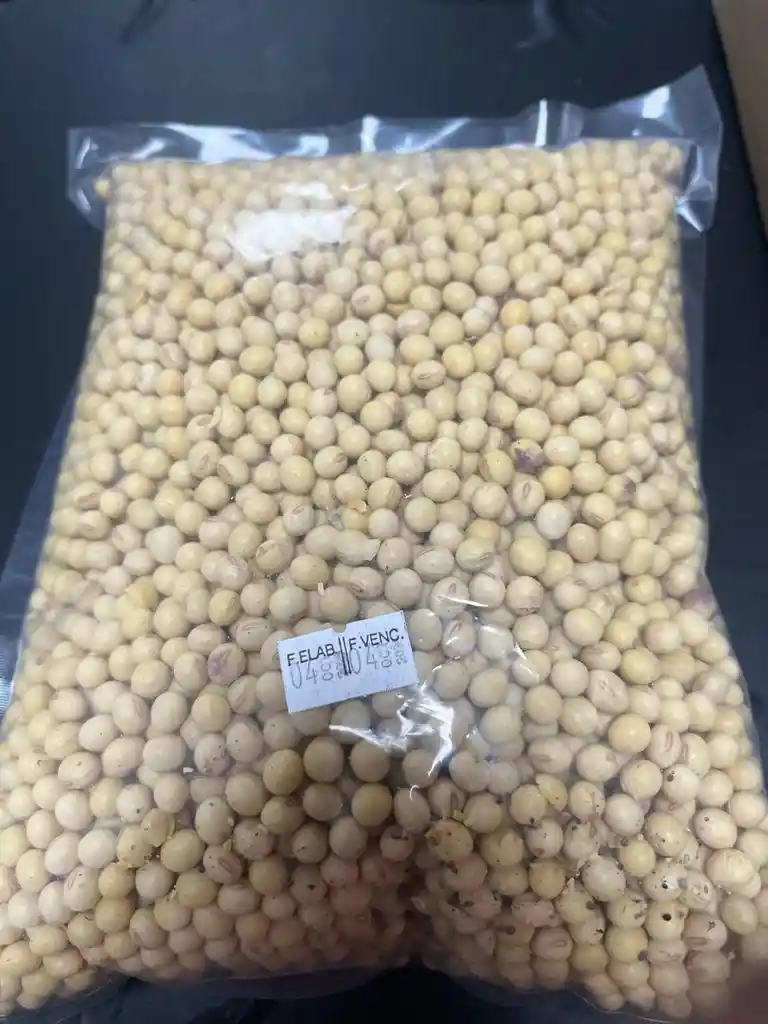 Poroto De Soya